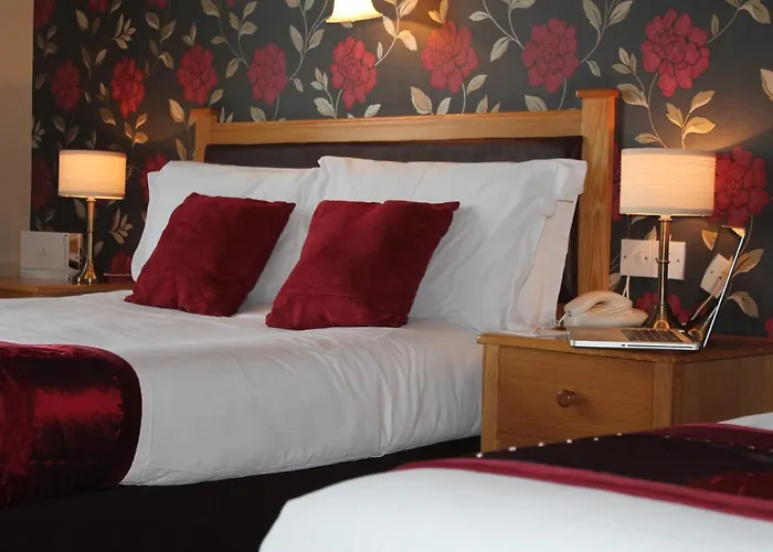 Silver Tassie & فندق